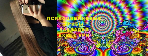винт Алзамай