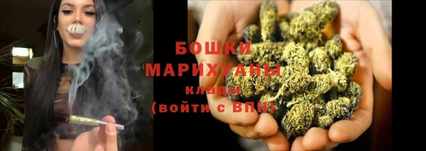 бошки Алексин
