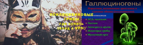 винт Алзамай