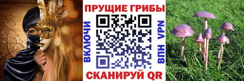 Псилоцибиновые грибы мухоморы мориарти Telegram Жигулёвск